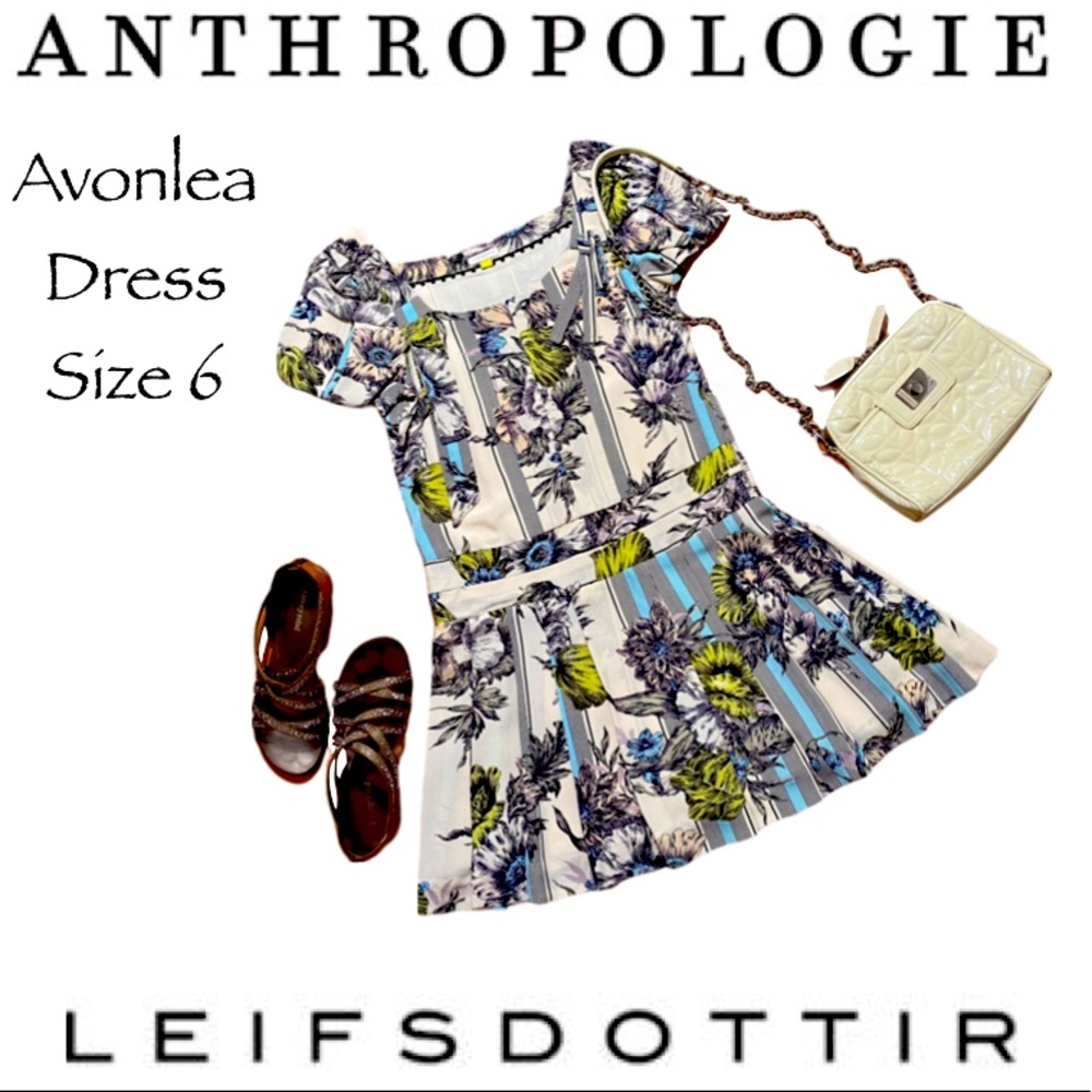 Anthropologie Leifsdottir Avonlea Dress Silk EUC Size 6 Drop Waist Pleated - Picture 3 of 16